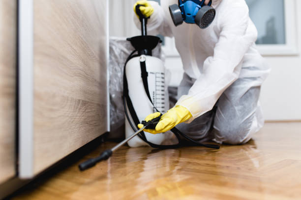 Best Flea Control Services  in Lake Wildwood, CA