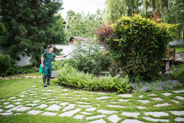 Best Commercial Pest Control Services  in Lake Wildwood, CA