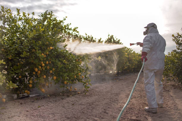 Wildlife Control Services in Lake Wildwood, CA