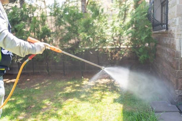 Best Pest Removal Services  in Lake Wildwood, CA