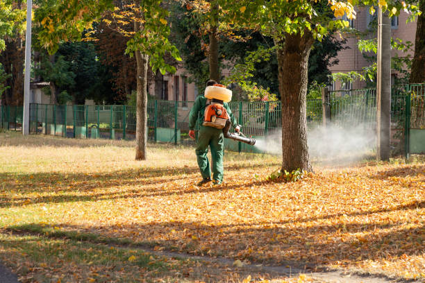 Pest Prevention Services in Lake Wildwood, CA