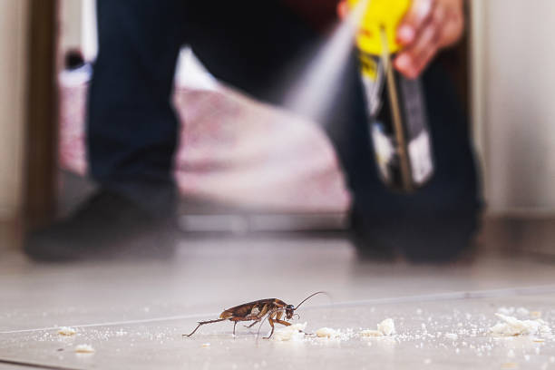 Best Best Pest Control Companies  in Lake Wildwood, CA