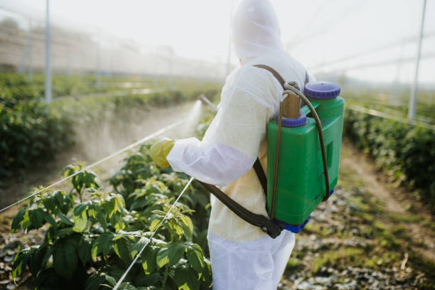 Best Affordable Pest Control Services  in Lake Wildwood, CA